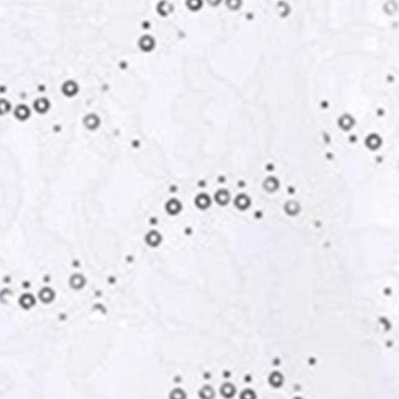 Lace Bolero Jacket White Sequins 3/4 Sleeves Lined - Picture 3 of 5